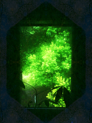 窓の緑600.jpg